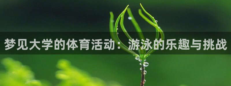熊猫体育比赛直播：梦见大学的体育活动：游泳的乐趣与挑战