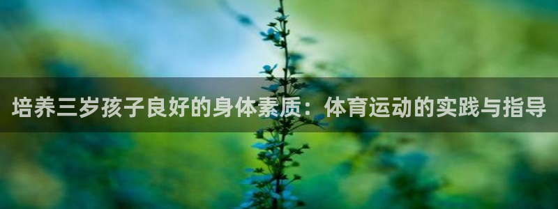 熊猫体育直播nba：培养三岁孩子良好的身体素质：体育运动的实践与指导