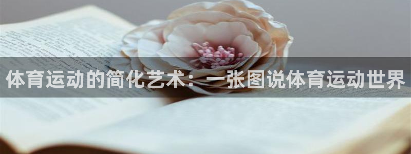 熊猫体育网站：体育运动的简化艺术：一张图说体育运动世界