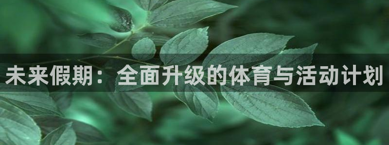 熊猫体育app官网入口：未来假期：全面升级的体育与活动计划