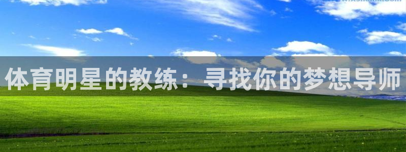 成都熊猫体育公园：体育明星的教练：寻找你的梦想导师