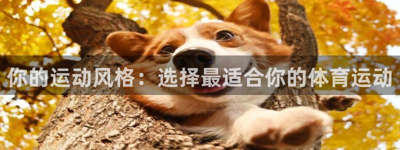 熊猫体育免费下载：你的运动风格：选择最适合你的体育运动