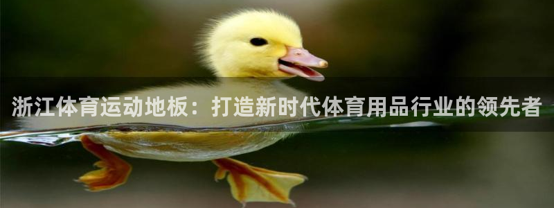 下载熊猫体育：浙江体育运动地板：打造新时代体育用品行业的领先者