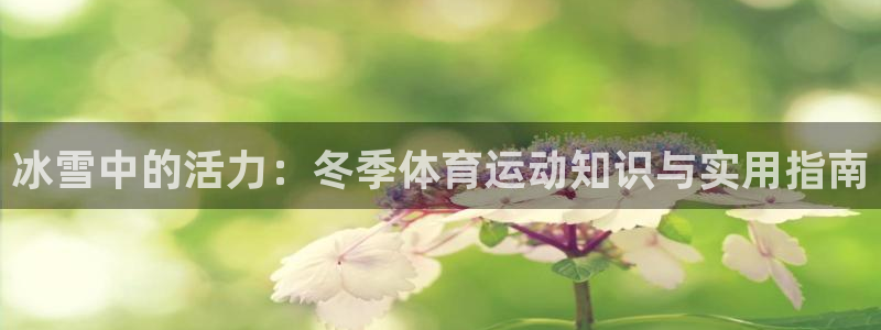 下载熊猫体育：冰雪中的活力：冬季体育运动知识与实用指南