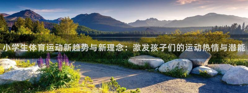 熊猫体育手机版：小学生体育运动新趋势与新理念：激发孩子们的运动热情与潜能