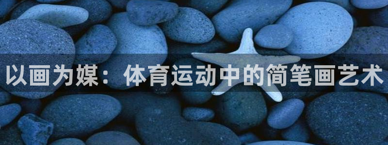 熊猫体育公园价格：以画为媒：体育运动中的简笔画艺术