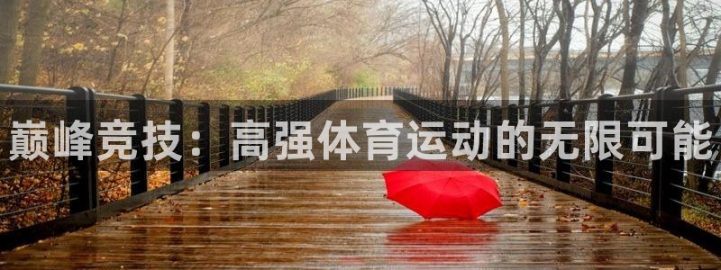 熊猫体育直播：巅峰竞技：高强体育运动的无限可能