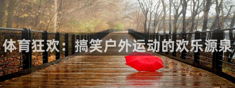 熊猫体育直播：体育狂欢：搞笑户外运动的欢乐源泉