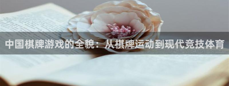 下载熊猫体育：中国棋牌游戏的全貌：从棋牌运动到现代竞技体育