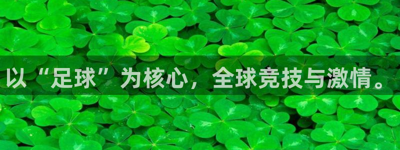 熊猫体育公园价格：以“足球”为核心，全球竞技与激情。