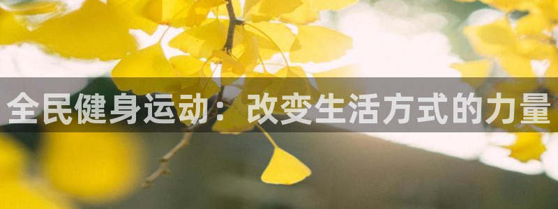熊猫体育公园：全民健身运动：改变生活方式的力量