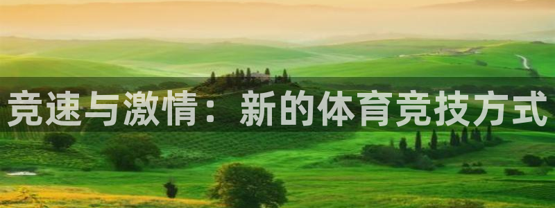 熊猫体育app官网入口：竞速与激情：新的体育竞技方式