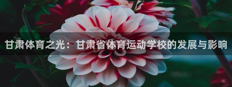 熊猫体育官网：甘肃体育之光：甘肃省体育运动学校的发展与影响