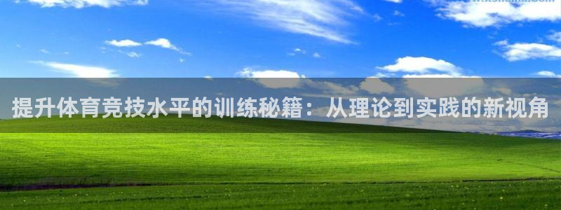 成都金熊猫体育：提升体育竞技水平的训练秘籍：从理论到实践的新视角